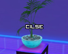 "Deco plant
