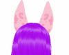H! Rainbow Pig Ears v3