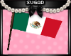 Mexico Flag (M&F)