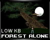 Forest Alone