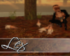 LEX Feed pigeons