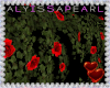 :A: Valentine Vines