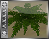 (Axxx) WS Fern Plant