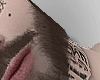 ぎ Perfect Mustache
