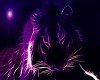 purple tiger top