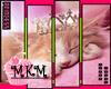 [MKM] Princess Kitty
