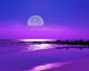 purple moonlight backdro