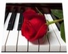 Red Rose Piano