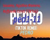 PEDRO . TIK_TOK REMIX