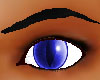 Dark Blue Cat Eyes