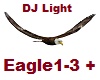 DJ Light Eagle