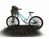 C* bicycle kiss