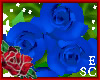 `Gift Roses Blue
