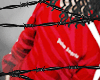 Palm Angs Hoodie