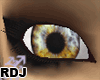 [RDJ] Eye F6