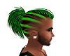 Shawn green hawk