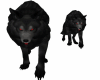 TK! Black Wolves