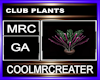 CLUB PLANTS