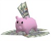 !R Pink Piggy Bank
