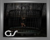 GS Human Cage
