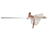 Silver Ballet Dance Pole