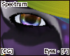 [CG] Spectrum Eyes [F]