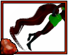 *C Bay Brown Horse Tail3