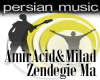 AmirAcid&MiladZendegiema