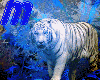 White Tiger2