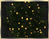 Lighted ~ Tree
