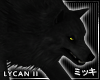 ! Black Lycan Wolf II