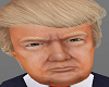 Donald J Trump Head