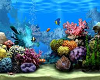 Animated Fish Tank