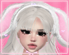 ♡ Bunny Ears