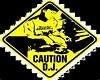 dj caution