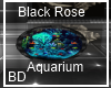 [BD] Black Rose Aquarium