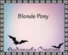 Blonde Pony