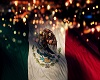 México Background