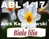 Kopaczewski-Biala lilia