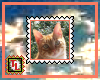 cat looking stamp