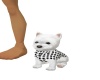 {LS} Plaid Pup