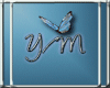 Y/M Just Jeans