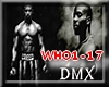 Who we Be DMX DJ intro