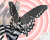 Monochrome Swallowtail