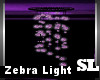 Zebra Light