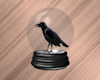 Black Raven In Globe