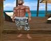 swim shorts