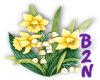 B2N-Jonquils & Lilies