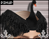 ⚓ | Black Swan Crown