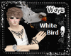[wayu]White Bird